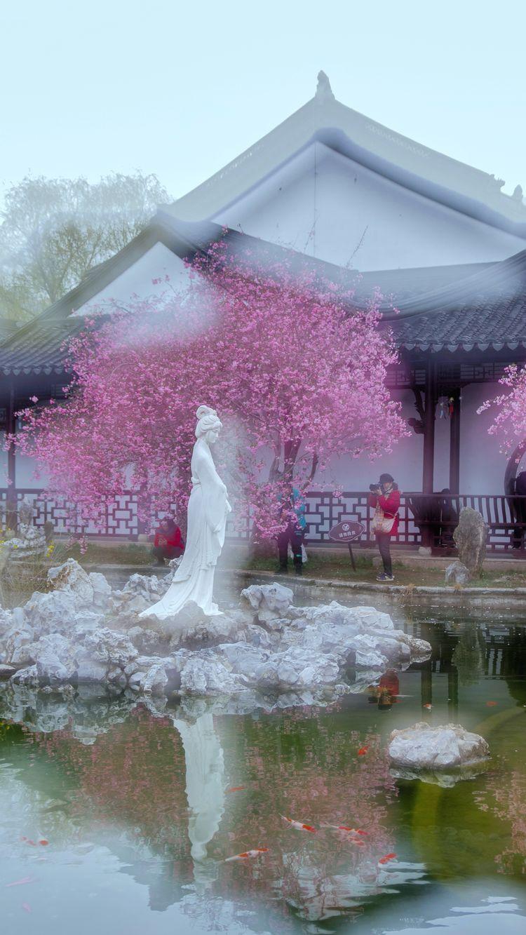 莫愁湖公园海棠花盛开，奏响春天的序曲