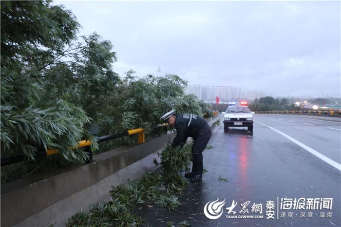 台风高速最新动态报告，八号消息及动态更新